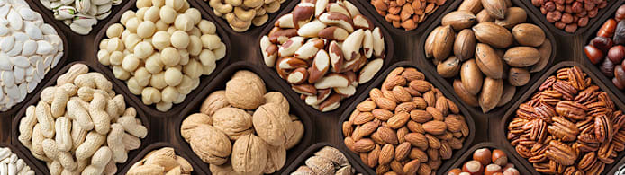 Can Dogs Eat Nuts? What's Safe and What's Not