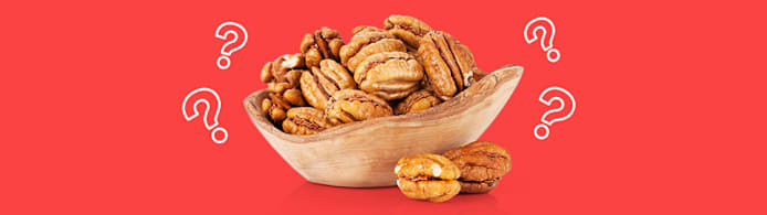 Can Dogs Eat Pecans? No — Here's Why