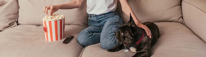 Can Dogs Eat Popcorn? What Pet Parents Should Know