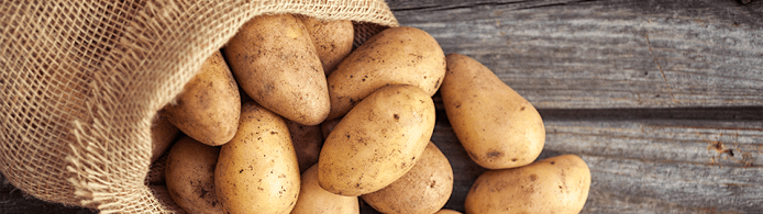 Can Dogs Eat Potatoes? The Safe & Healthy Way to Share This Treat