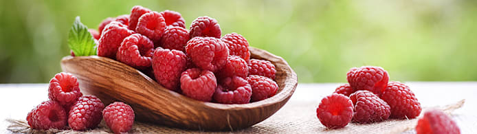 Can Dogs Eat Raspberries? A Vet-Backed Guide