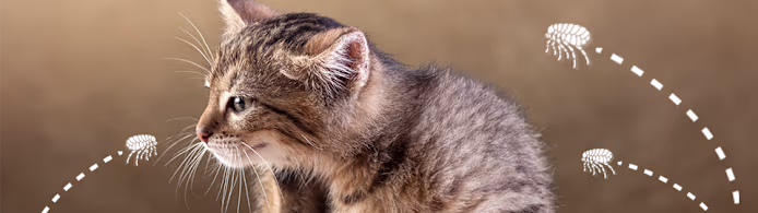 Nitenpyram: End Fleas Fast for Dogs & Cats – Your Essential Guide