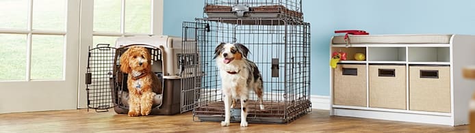 Easy Crate Training: Puppy & Dog Tips for a Calm, Happy Home