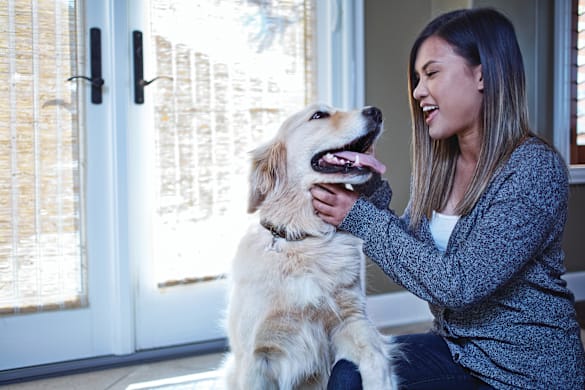 How to Clean Your Dog's Ears: A Step-by-Step Guide