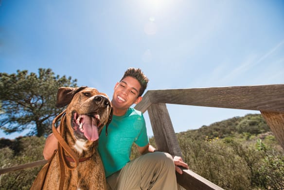 Itchy Dog? Find Relief: Skin Allergy Causes, Symptoms & Solutions