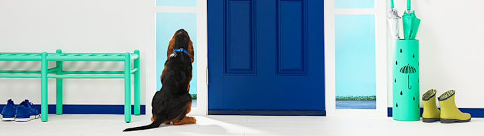 Help Your Dog: Separation Anxiety Signs, Causes & Training Solutions