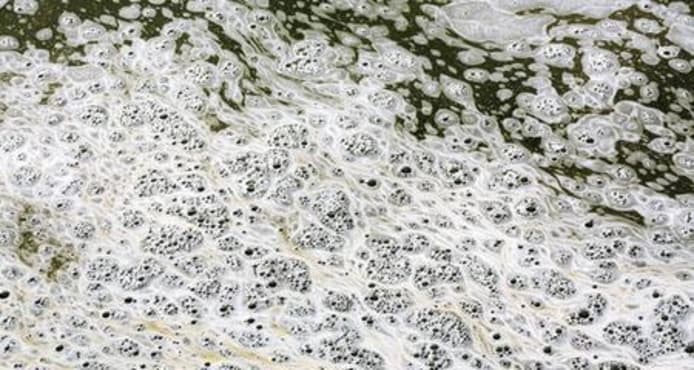 Why Your Fish Pond Foams: Causes, Solutions for a Clear Pond