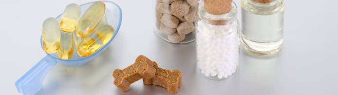 Fish Oil for Dogs: Benefits, Dosage, & Our Top Supplement Picks