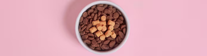 How to Build a Balanced Bowl for Your Pet