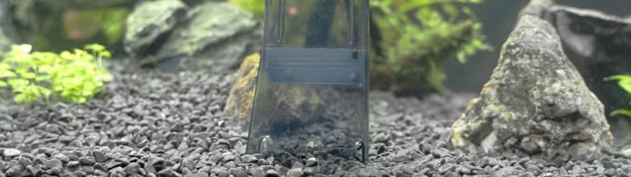 How to Use an Aquarium Gravel Vacuum