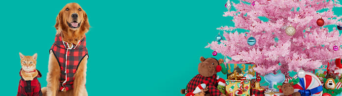 Keep Pets Safe: Holiday Decorating Tips for a Pet-Proof Home