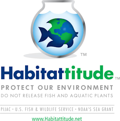 Aquatic Pet Owners: Stop Invasive Species, Save Our Waterways