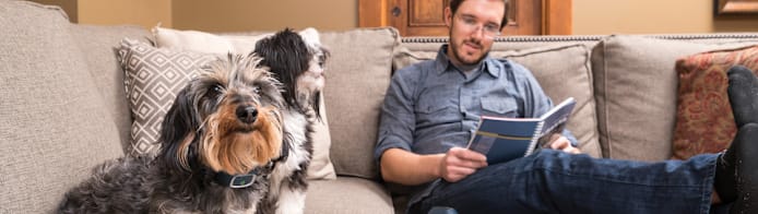 Dog Dandruff Solutions: 8 Causes & Best Treatments for Flaky Skin