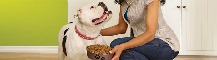 Limited Ingredient Dog Foods: Benefits & How to Choose