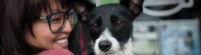 Homemade Cookies for Dogs: 4 Easy Recipes