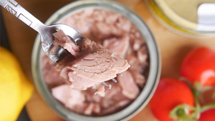 Can Dogs Eat Tuna? What Pet Parents Should Know