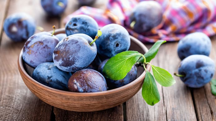 Can Dogs Eat Plums? What Pet Parents Must Know