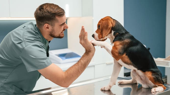 What to Expect at Your Dog’s First Vet Visit