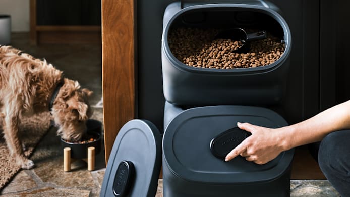 How to Store Your Dog’s Food 
