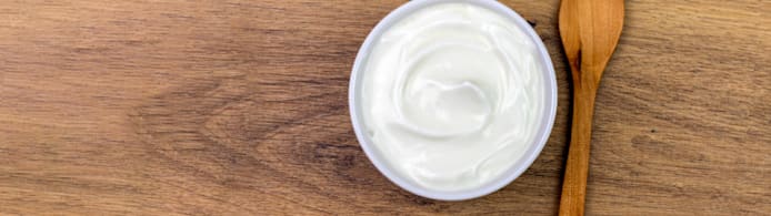 Can Dogs Eat Yogurt? What Pet Parents Should Know