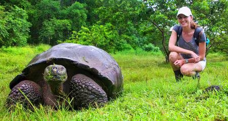 Turtle & Tortoise Bacterial Infections: Spot, Treat, Prevent