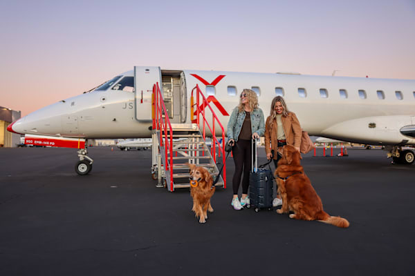 Dog Air Travel: The Best Flight Experiences for Your Pup