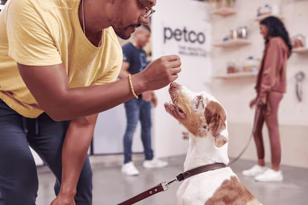 My playful dog needs toys! What are the best and safest options?