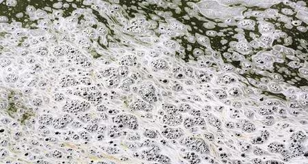 Why Your Fish Pond Foams: Causes, Solutions for a Clear Pond