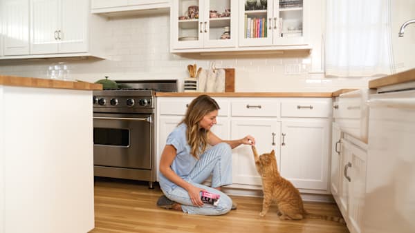 What can I use to sedate my semi-feral cat to remove her flea collar?