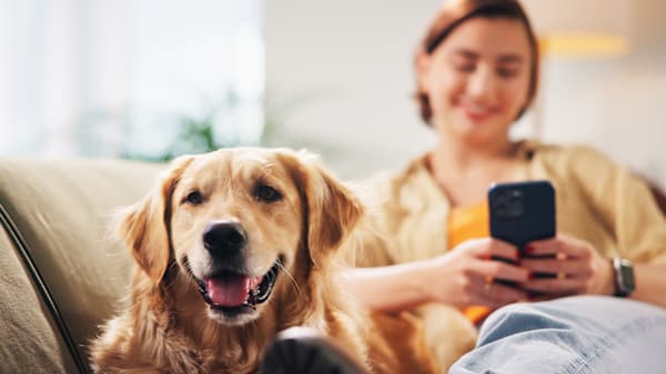 How to Transfer Your Pet's Prescription to Petco Pharmacy