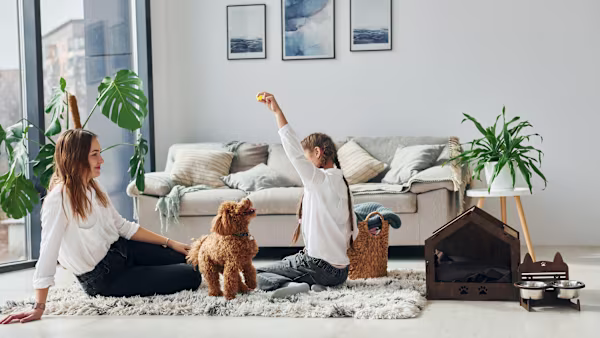 Puppy-Proofing Your Home: Room-by-Room Guide