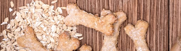 Can Dogs Eat Oatmeal? Benefits, Risks & How to Serve