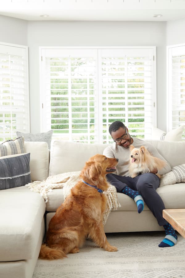Adopting a shelter dog? How to care for and introduce your new pet.