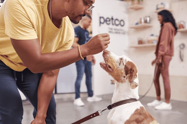 What are the best small, soft training treats for my dog's success?