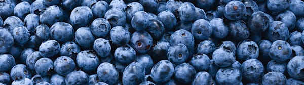 Can Cats Eat Blueberries? A Vet-Backed Guide