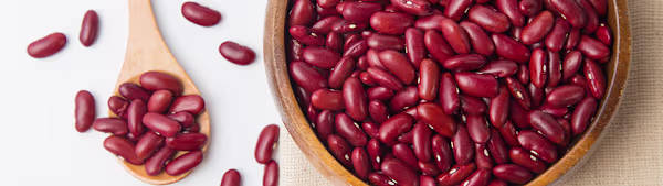 Can Dogs Eat Beans? Safe Types & How to Serve