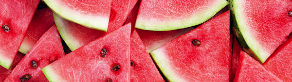 Can Cats Eat Watermelon? What Pet Parents Should Know