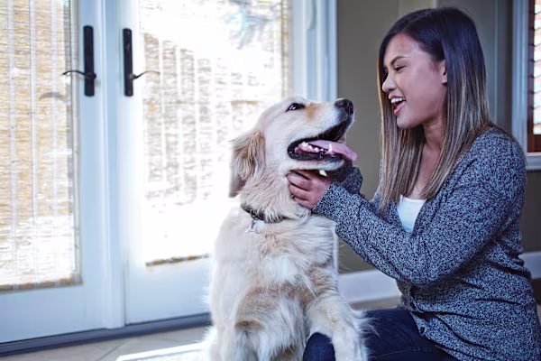 How to Clean Your Dog's Ears: A Step-by-Step Guide