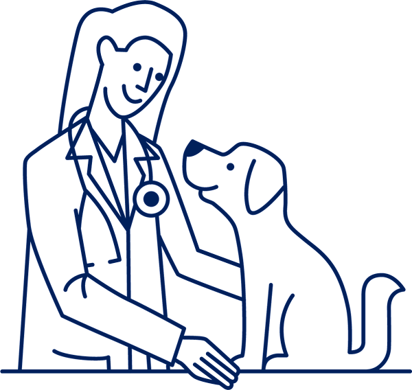 Lyme Disease in Dogs: Spot Signs, Prevent & Treat Tick Bites