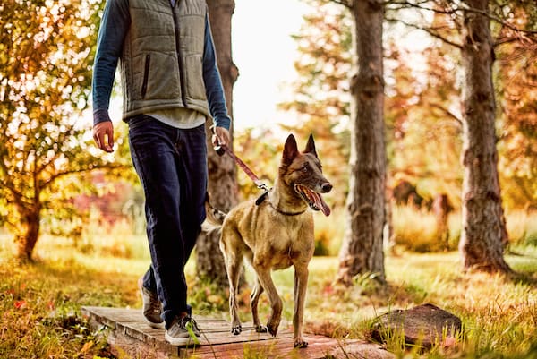 Father's Day Gifts for Dog Dads
