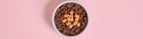 How to Build a Balanced Bowl for Your Pet