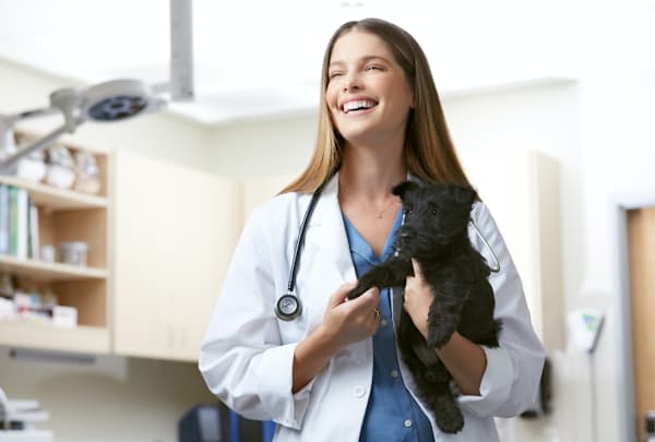 Is Your Pet Straining? Bladder Stone Warning Signs in Dogs & Cats