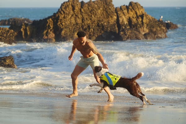 My dog has food allergies. What chews are safe during a food trial?