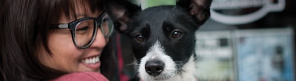 Homemade Cookies for Dogs: 4 Easy Recipes
