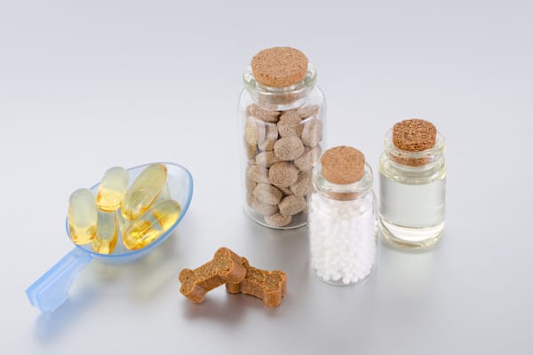 Unlock Optimal Health: Best Pet Supplements for Your Dog & Cat
