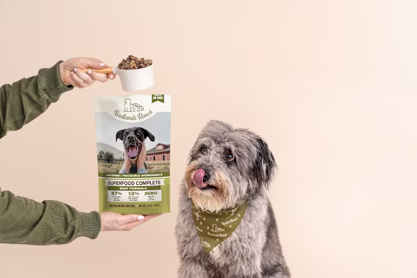 What Is Air-Dried Dog Food? A Veterinarian's Guide to Its Benefits