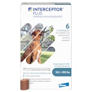 Electrolytes for shop dogs petco