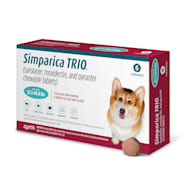 Antifungal medicine hotsell for dogs
