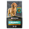 Purina Pro Plan Focus Chicken & Rice Formula Dry Puppy ...