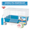4 Guinea Pig Starter Kit For Beginner - More Guinea Pigs
